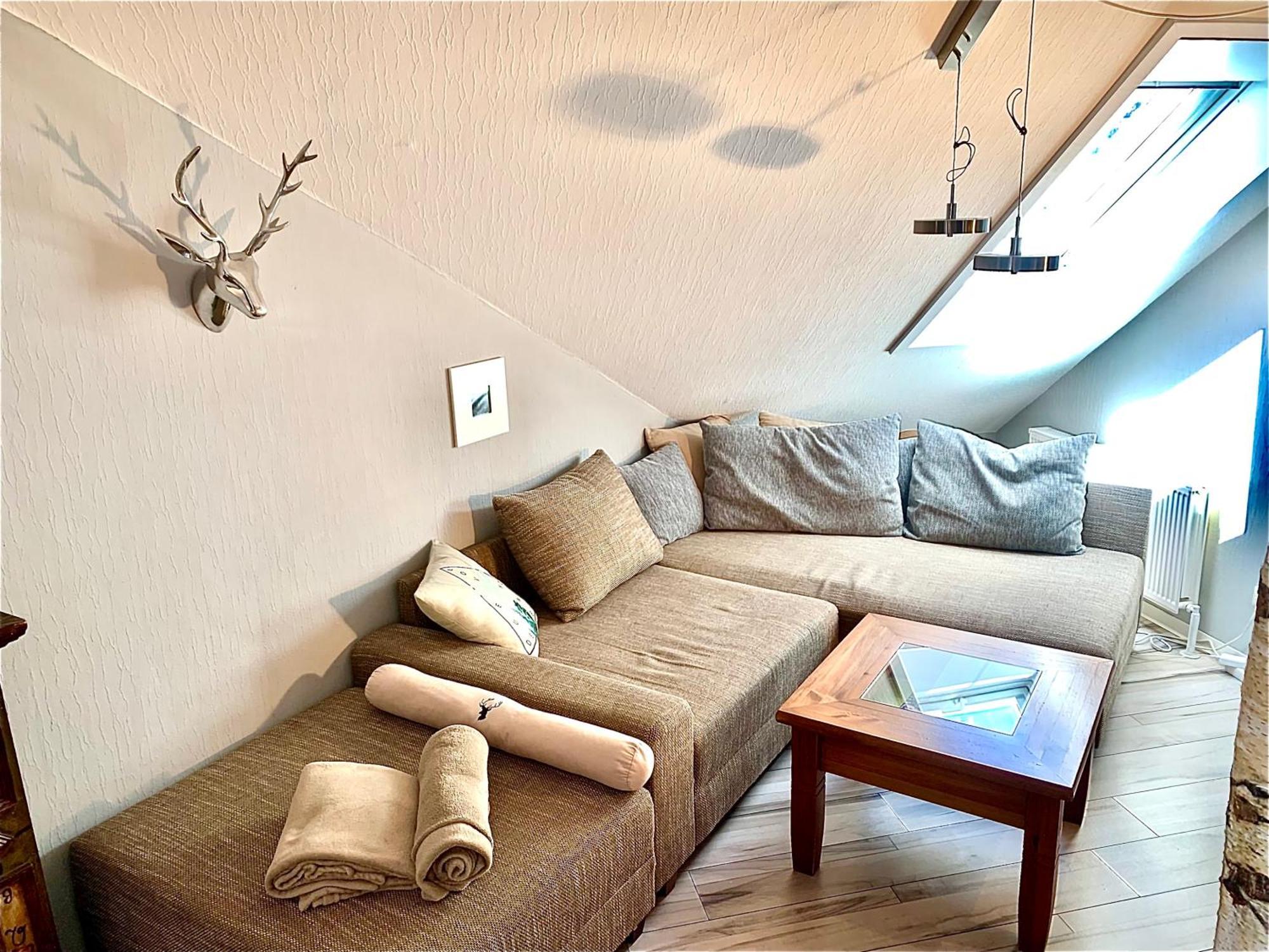 Jagdschloesschen-Harz Apartment บัดซัคซา ภายนอก รูปภาพ